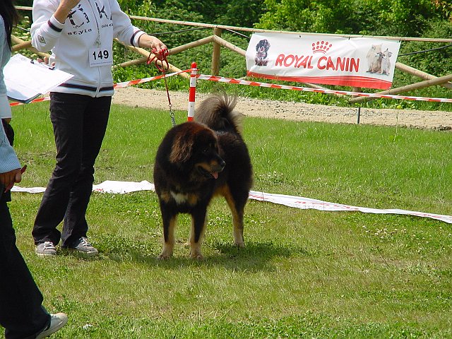 Immagine 062.jpg